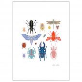 картинка BILD БИЛЬД Постер - Яркие жуки 50x70 см от магазина Wmart